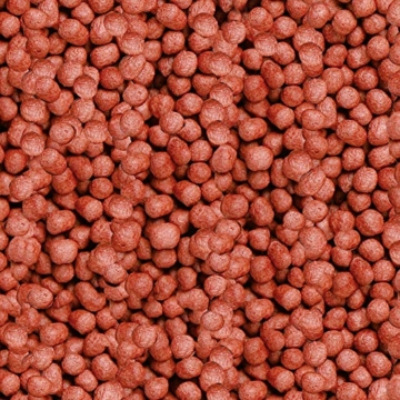 sera KOI Royal medium (4 mm) ein Koifutter bzw. Hauptfutter für die optimale Entwicklung von Koi von 12- 25cm mit Präbiotika für verbesserte Futterverwertung, geringere Wasserbelastung & weniger Algen - 4