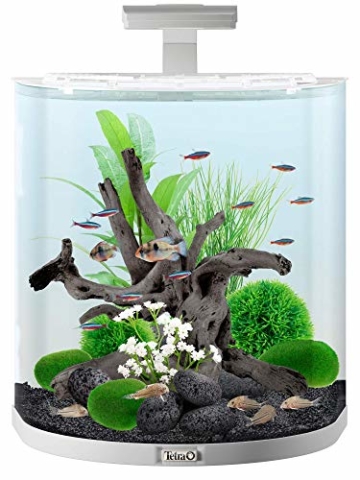 Tetra AquaArt Explorer Line Aquarium-Komplett-Set 60L, Weiß - 2