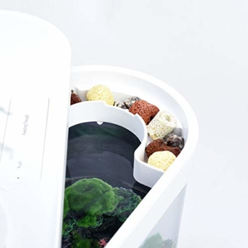 Zenph 8L Nano Aquarium Aquarien mit 5 Colors LED-Beleuchtung Einsteigerbecken mit Filter und Energie Sparen 5W Ruhig Pump, für Zuhause und Büro, Weiß - 2