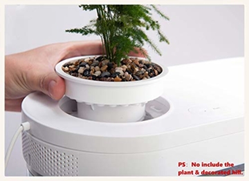 Zenph 8L Nano Aquarium Aquarien mit 5 Colors LED-Beleuchtung Einsteigerbecken mit Filter und Energie Sparen 5W Ruhig Pump, für Zuhause und Büro, Weiß - 4