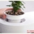 Zenph 8L Nano Aquarium Aquarien mit 5 Colors LED-Beleuchtung Einsteigerbecken mit Filter und Energie Sparen 5W Ruhig Pump, für Zuhause und Büro, Weiß - 4