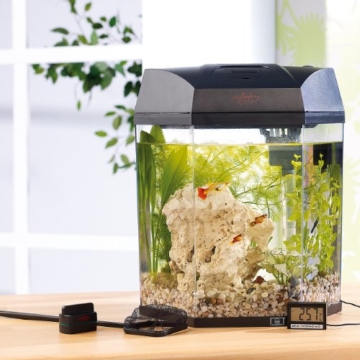 infactory Nano Aquarium: Beleuchtetes Panorama-Aquarium Hexagon, Komplett-Set, 19 l (Aquarien Komplettsets) - 8