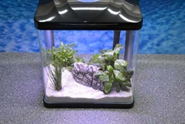 Nano Aquarium der HRC Reihe in verschiedenen Größen und Farben Filteranlage Nanoaquarium Komplett Filter Beleuchtung, HRC ohne Deko:HRC 230 schwarz - 1