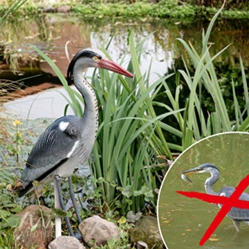 Gardigo Reiher Figur | Gartenfigur zur Reiher Abwehr, mit Erdspieß für sicheren Halt | Schutz gegen Fischreiher - 3