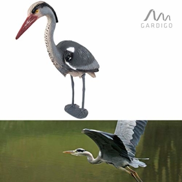 Gardigo Reiher Figur | Gartenfigur zur Reiher Abwehr, mit Erdspieß für sicheren Halt | Schutz gegen Fischreiher - 7