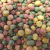 Koifutter 3 -6 mm 5 Sorten Spezialmischung 15 kg - 