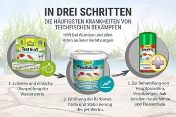 Tetra Pond MediFin (universell wirkendes Arzneimittel für alle Gartenteichfische, Vorbeugung Desinfektion Medikament Garten Krankheiten), 500 ml Flasche - 4