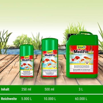 Tetra Pond MediFin (universell wirkendes Arzneimittel für alle Gartenteichfische, Vorbeugung Desinfektion Medikament Garten Krankheiten), 500 ml Flasche - 6