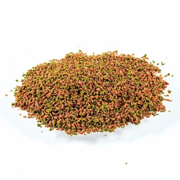 TetraMin Mini Granules (Hauptfutter in Granulatform für kleine Zierfische wie z.B. Salmler und Barben), 100 ml Dose - 2