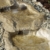 Wasserkaskaden Wasserfall Eder Bachlauf 3-teilig, Beige/Braun, a` 53 x 40 x 8 cm/ 3-teilig - 5