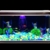 ZoomSky 200 stücke Bunt Leuchtsteine, Dunkeln leuchtende Kieselsteine Leuchtkiesel Floureszierende Pebble Steine für Halloween Aquarium Garten Flur Kinderzimmer Dekoration - 5
