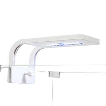 All Pond Solutions Nano Tropisches Kaltwasser-Aquarium, mit LED-Licht - 3