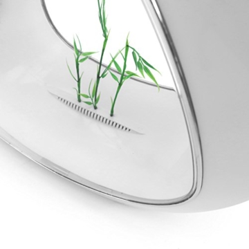 allpondsolutions Nano Curve Aquarium, Kaltwasser, tropisch, LED-Beleuchtung, 13,5 Liter, Limettengrün - 4