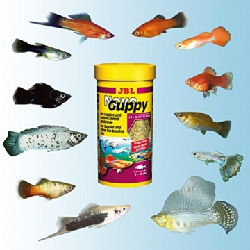 JBL NovoGuppy 30176 Alleinfutter für lebendgebärende Aquarienfische, Flocken 250 ml - 6