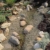 Oase Steinfolie 60cm Bachlauf Wasserfall Ufer Meterware - 3