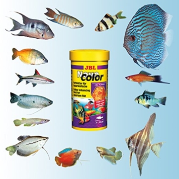 JBL NovoColor 30157 Alleinfutter für farbenprächtige Aquarienfische, Flocken 250 ml - 7
