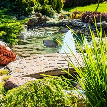 Relaxdays Teichente, schwimmender Erpel, Lockente aus Kunststoff, wetterfest, Dekofigur für Teich, Garten, mehrfarbig - 2