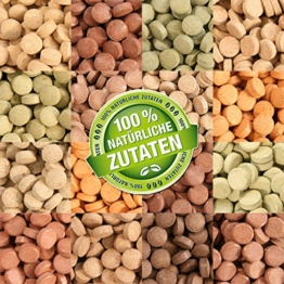 Teichpoint 1000 ml (700g) Premium TOP Futtertabletten Opti-Mix 17, Tablettenfutter Mix für Aquarium Zierfische Tabletten - 1