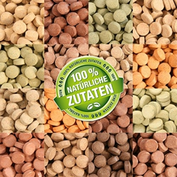 Teichpoint 1000 ml (700g) Premium TOP Futtertabletten Opti-Mix 17, Tablettenfutter Mix für Aquarium Zierfische Tabletten - 1
