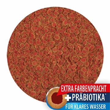 Tetra Pro Colour Premiumfutter (Flockenfutter für alle tropischen Zierfische, Fischfutter mit Farbkonzentrat für schöne, farbenprächtige Fische), verschiedene Größen erhältlich - 3
