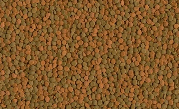 Tetra Wafer Mix - Fischfutter für alle Bodenfische (z.B. Welse) und Krebse, für gesundes Wachstum und eine bessere Widerstandskraft, 100 ml - 4