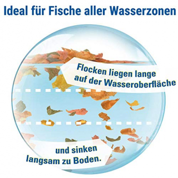 Tetra TetraMin Flakes 1L - Fischfutter in Flockenform in der 70 Jahre Schmuckdose, 1er Pack (1 x 0.21 kilograms) - 7