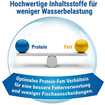 Tetra TetraMin Flakes 1L - Fischfutter in Flockenform in der 70 Jahre Schmuckdose, 1er Pack (1 x 0.21 kilograms) - 8