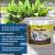TetraMin Flakes - Fischfutter in Flockenform für alle Zierfische, ausgewogene Mischung für gesunde Fische und klares Wasser, 10 L Eimer - 3