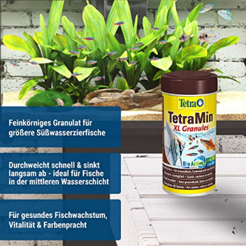 TetraMin XL Granules - langsam absinkendes Fischfutter für größere Zierfische in der mittleren Wasserschicht des Aquariums, 250 ml Dose - 5